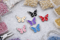 Charm Beutifull Butterfly