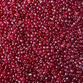 Podmoti seed beads