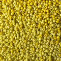 Podmoti seed beads