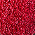 Podmoti seed beads